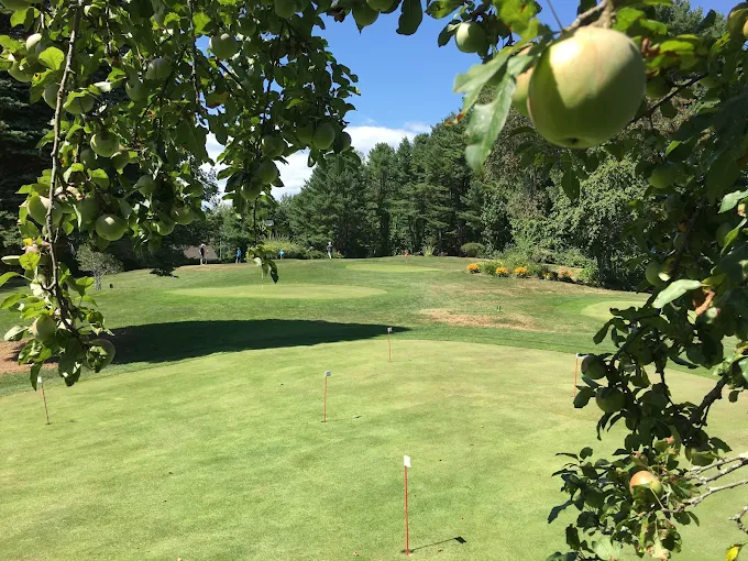 Pitch and putt with apples