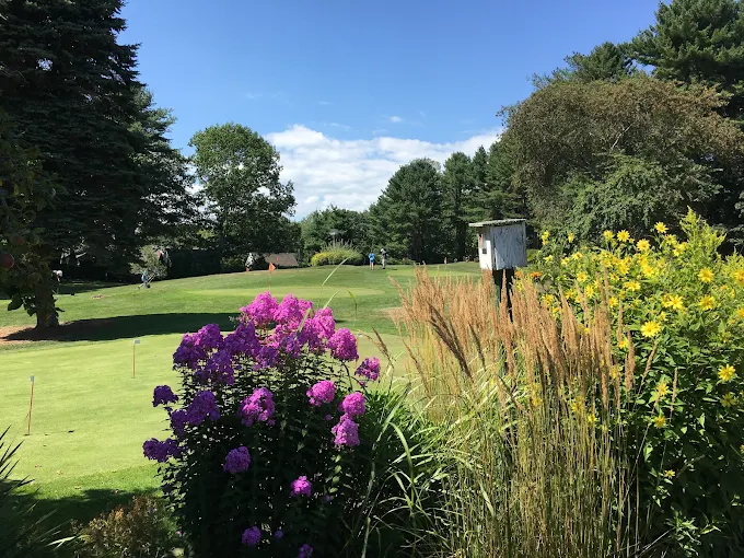 Phlox flowers and the pro shack